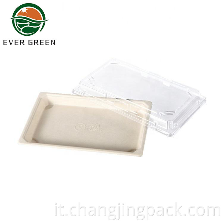 Biodegradable Recycled Microwavable Food Pulp Tableware Tray